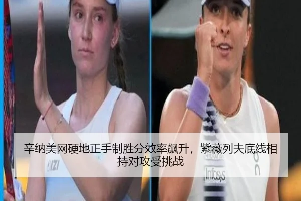 xin-na-mei-wang-ying-di-zheng-shou-zhi-sheng-fen-xiao-lv-biao-sheng-zi-wei-lie-fu-di-xian-xiang-chi-dui-gong-shou-tiao-3-704.jpg