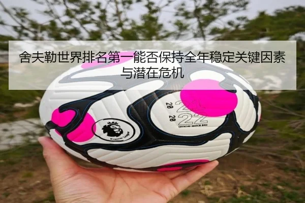 舍夫勒世界排名第一能否保持全年稳定关键因素与潜在危机