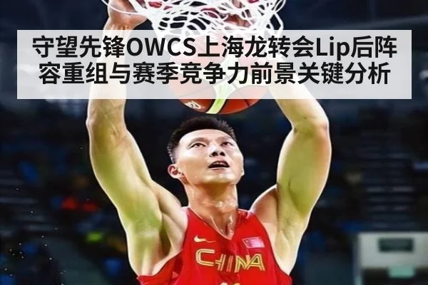 守望先锋OWCS上海龙转会Lip后阵容重组与赛季竞争力前景关键分析
